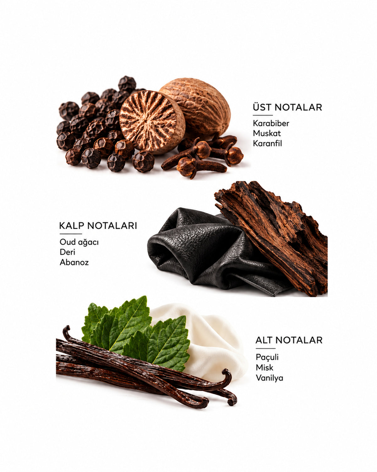 عطر Lucille Alpha للرجال 100 مل EDP