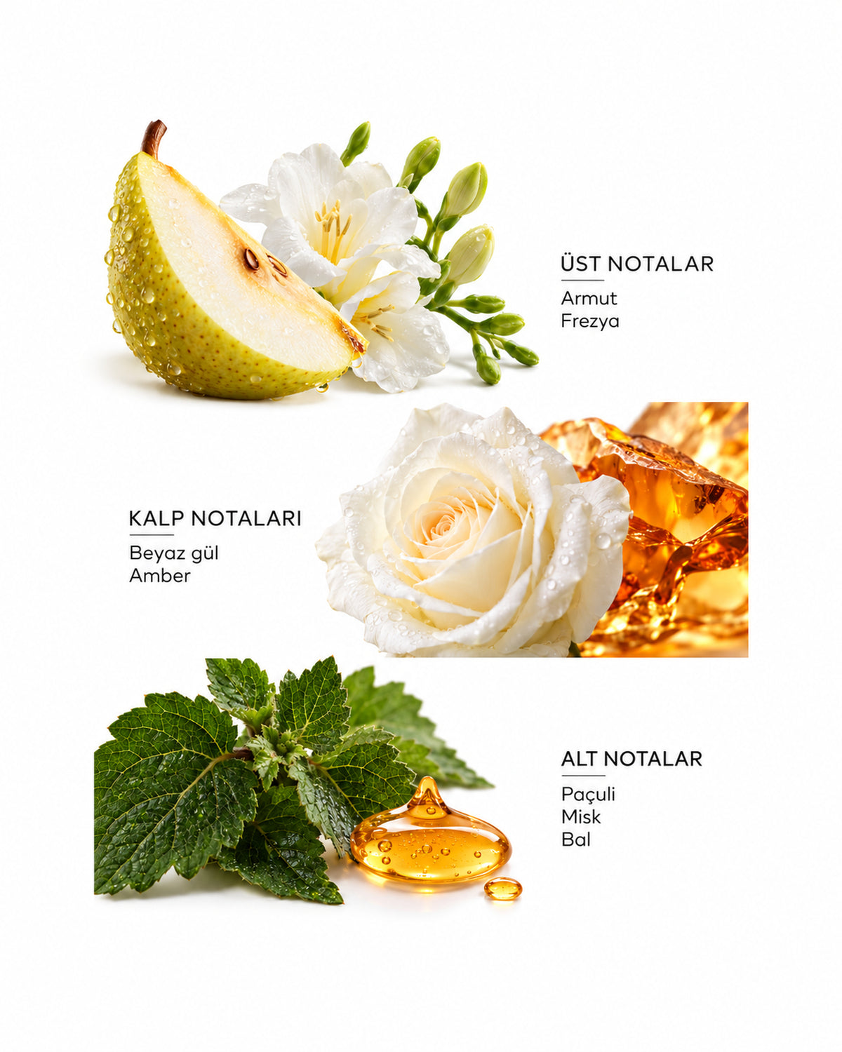 Honey Water Eau de Parfum 50 ml