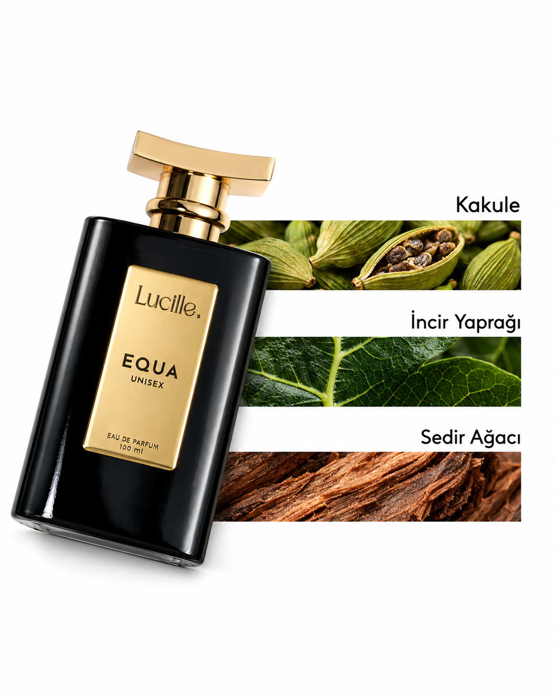 Lucille Equa Unisex Perfume 100 ml EDP