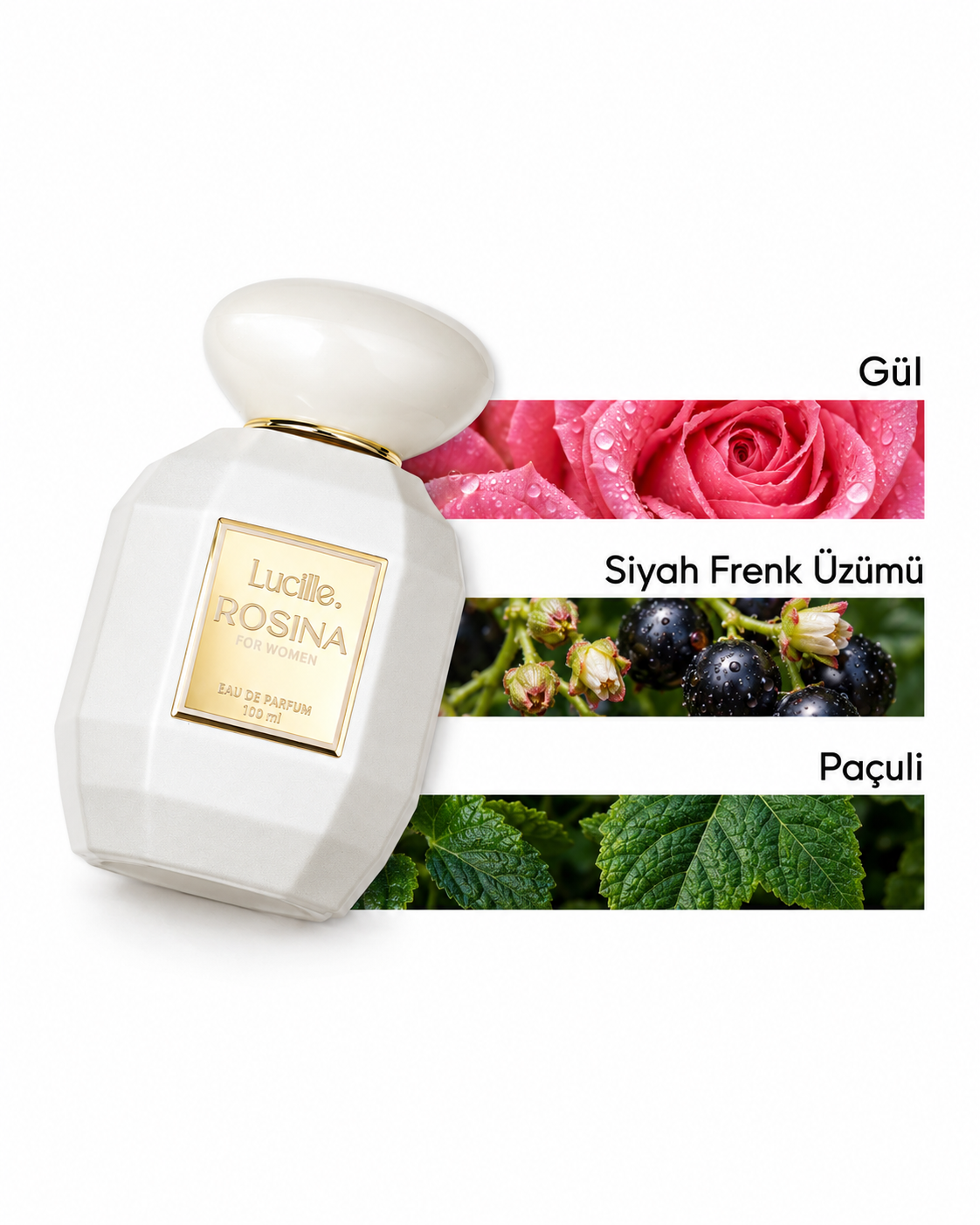 Lucille Rosina Women's Perfume 100 ml EDP