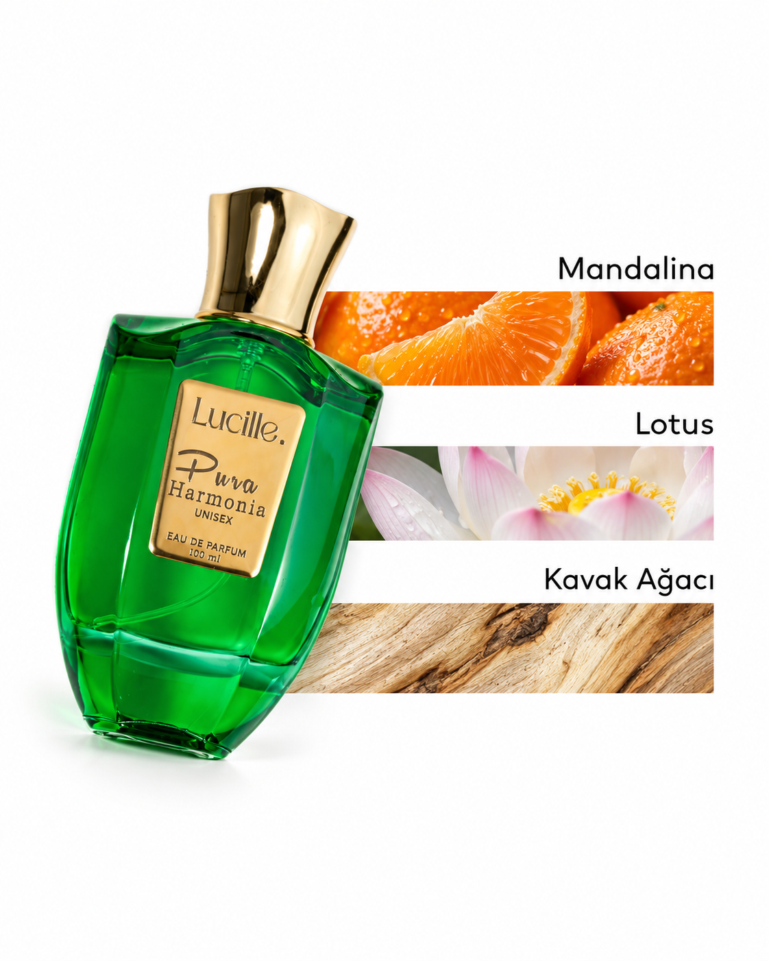 Lucille Pura Harmonia Unisex Perfume 100 ml EDP