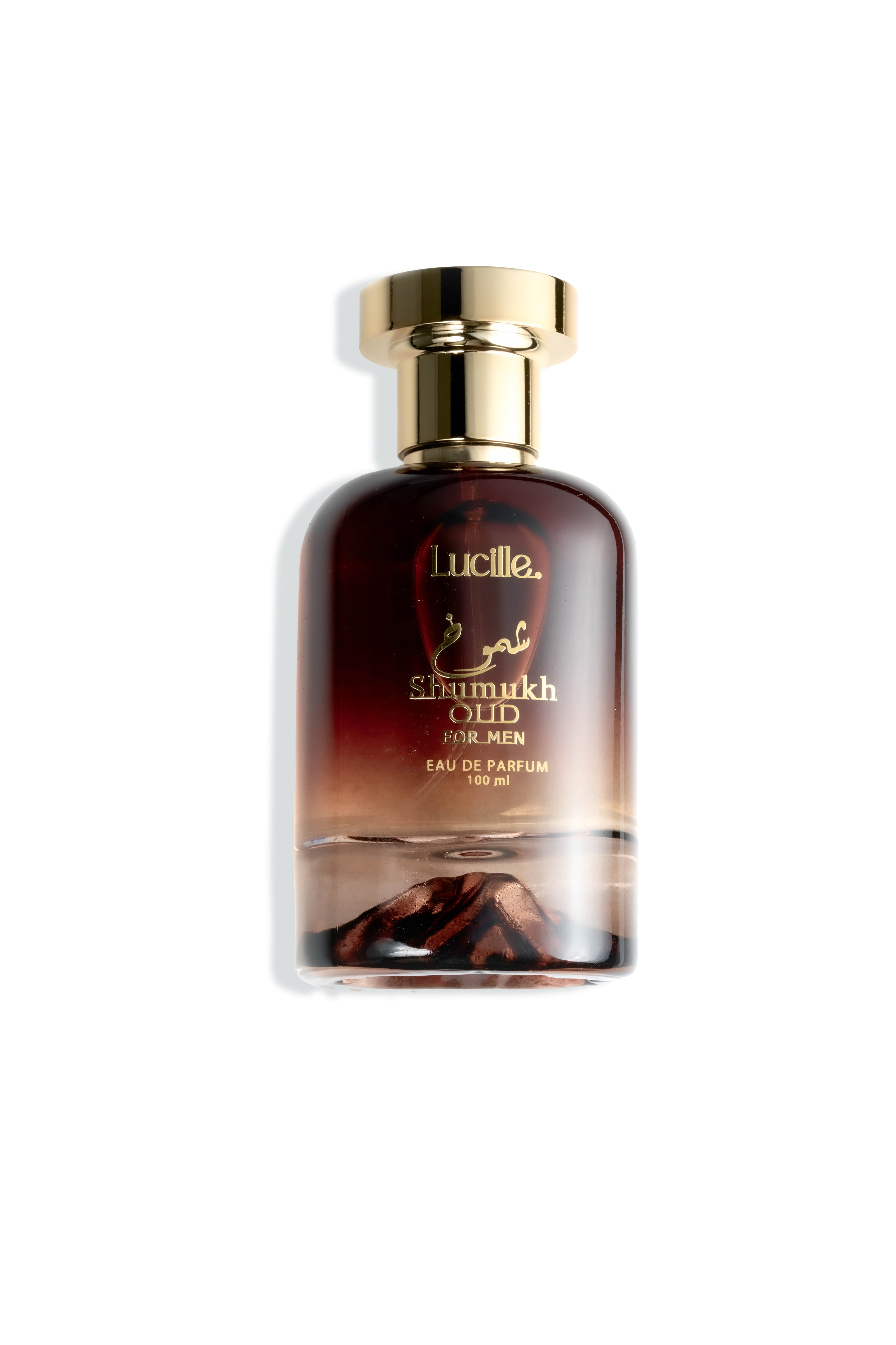 Lucille Shmukh Özel Kutusunda 100 ML EDP Erkek Parfümü OUD Kokusu - Esans Kalıcı Koku