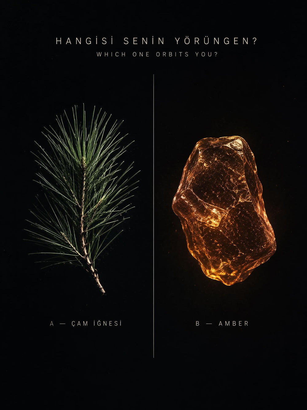 Orbitalis — Lucille Instagram gönderisi 1