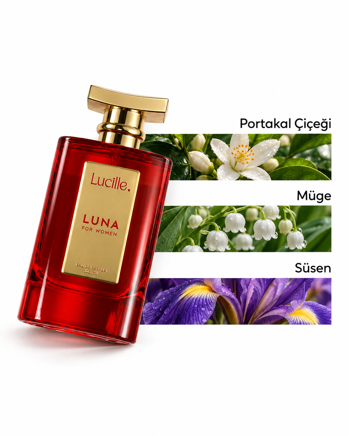 Lucille Luna عطر نسائي 100 مل EDP
