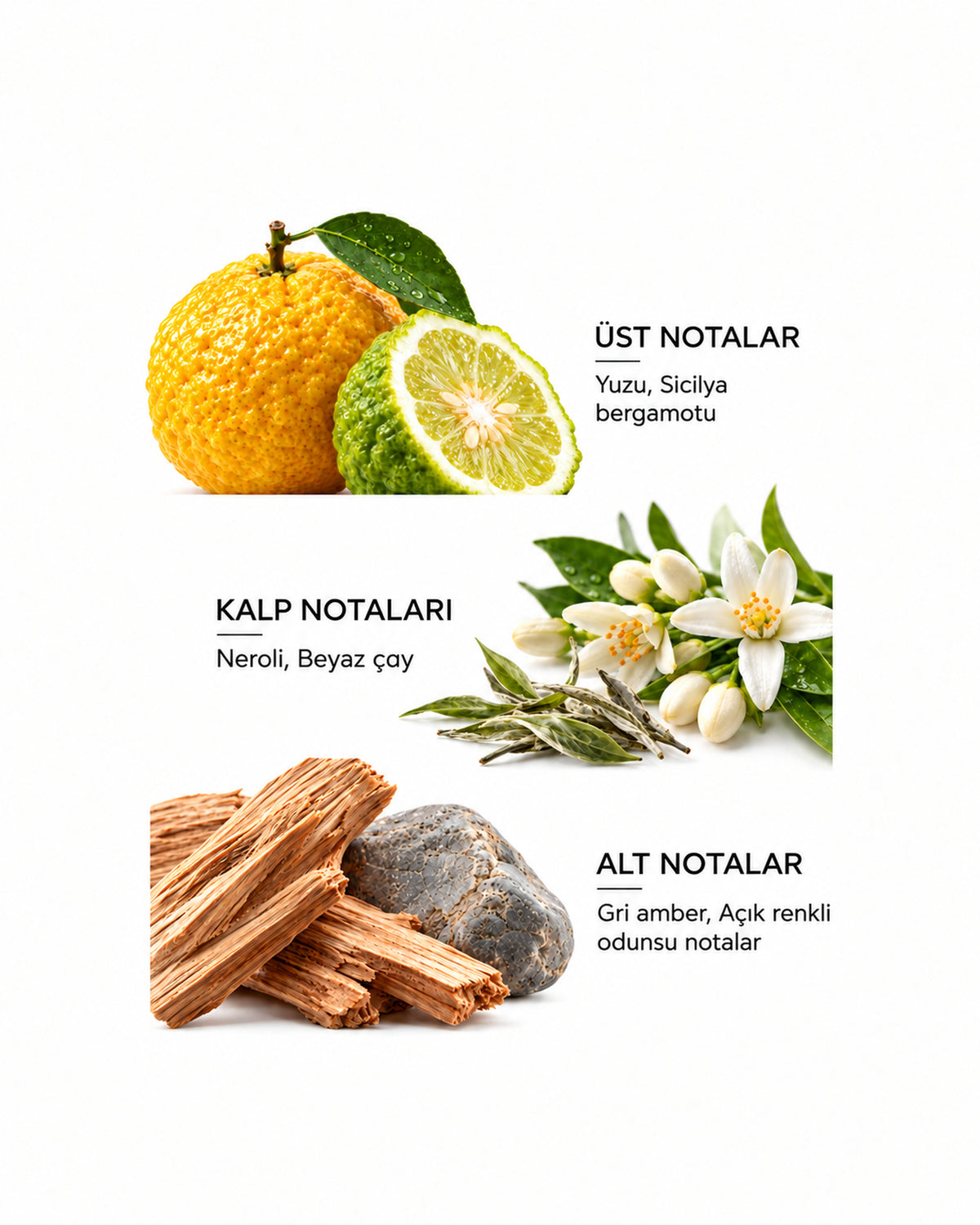 عطر Lucille Lumiere للجنسين 100 مل EDP