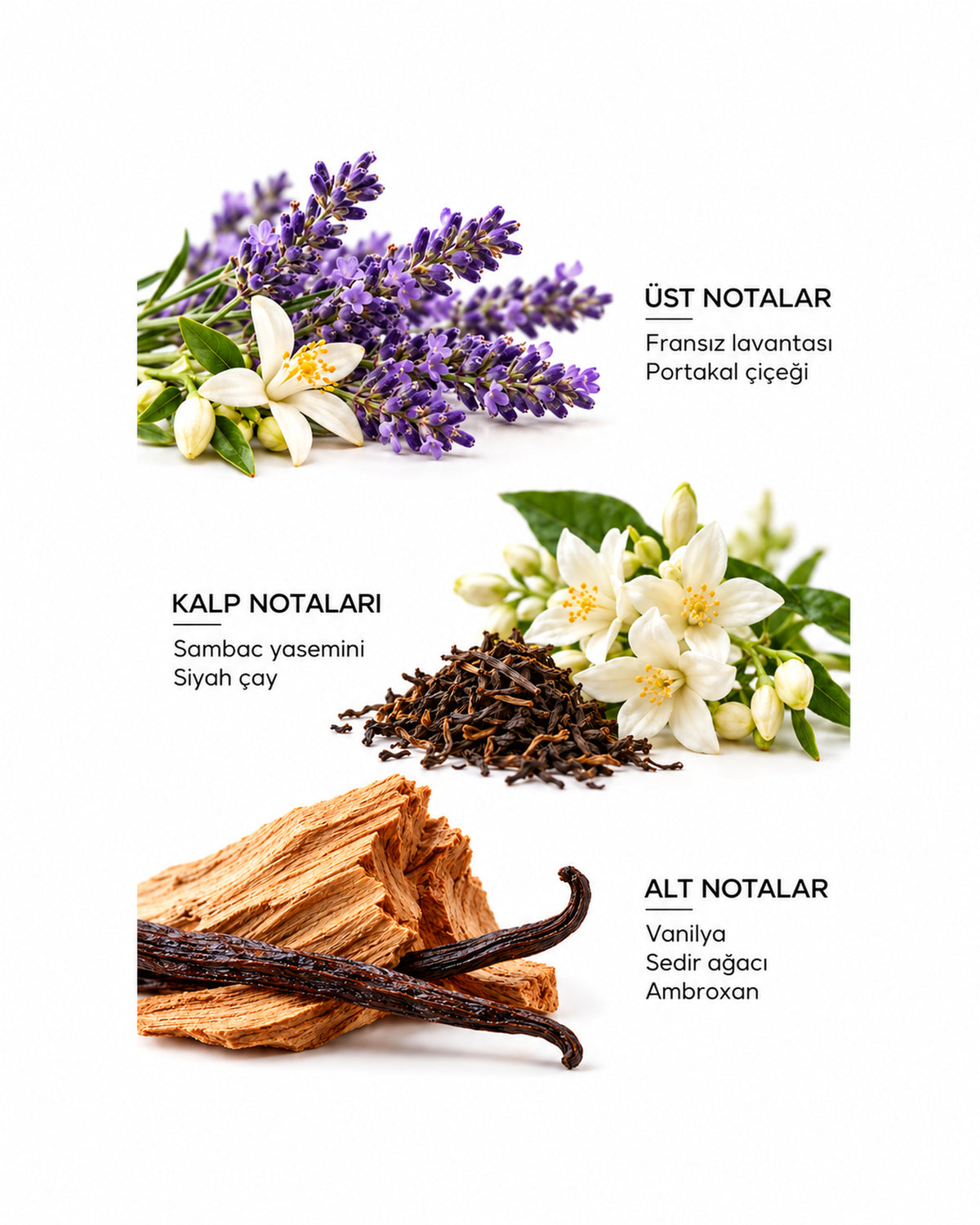 Lava Zelle Eau de Parfum 50 ml
