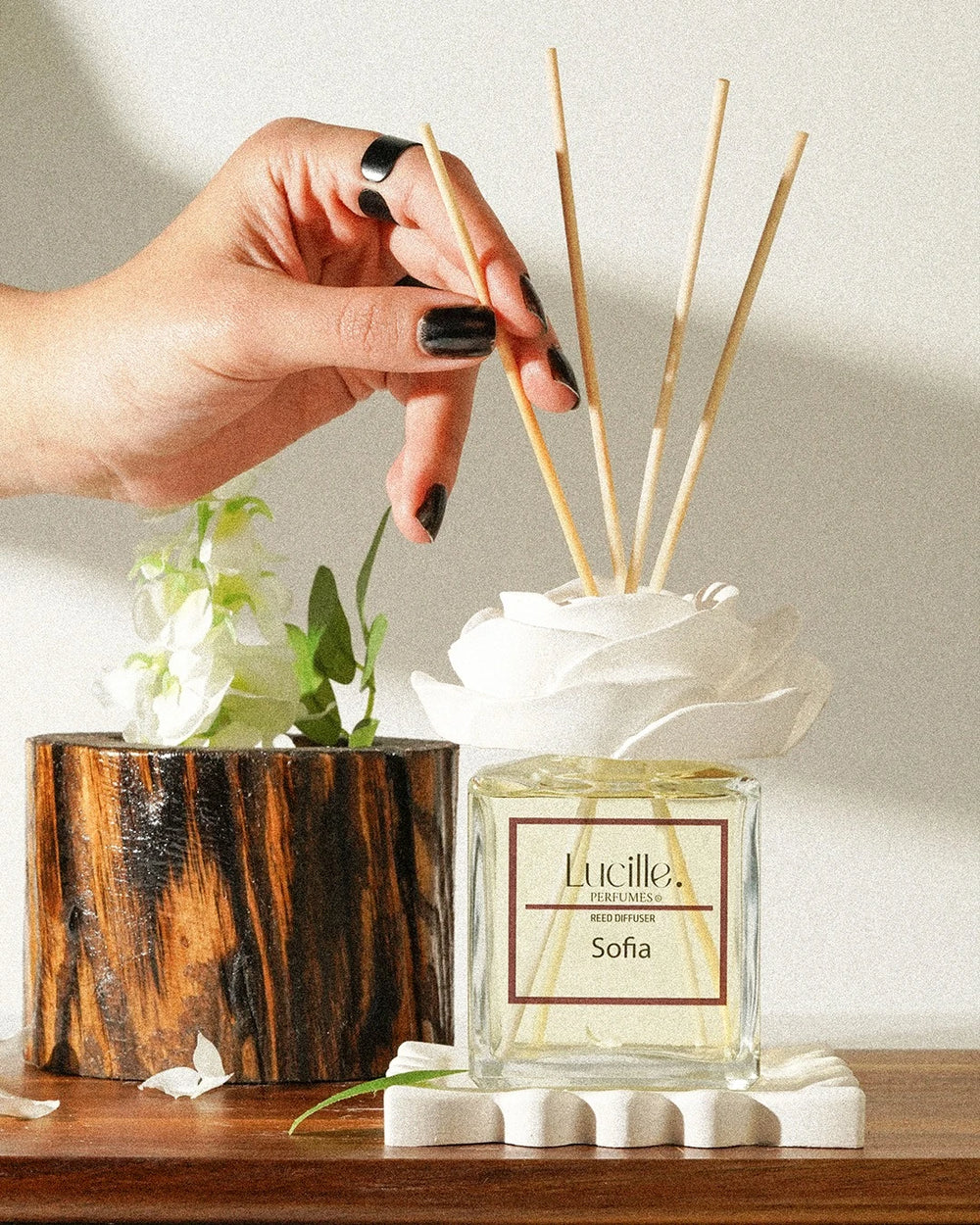 A hand adjusting Sofia 200 ml diffuser reeds, styled with optional gypsum flower and plate accessories