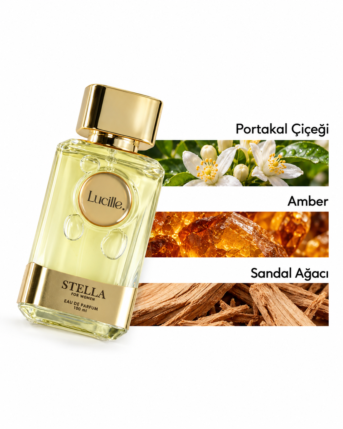 Lucille Stella Women's Perfume 100 ml EDP