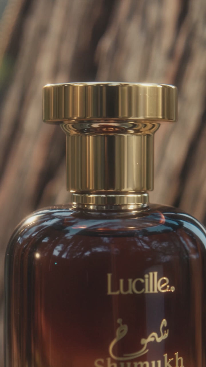 تحميل الفيديو: عطر Lucille Shmukh للرجال 100 مل EDP